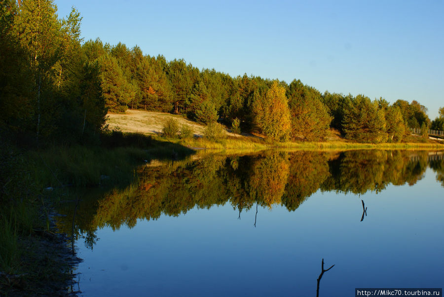 Клепиковский район,Мещера Тума, Россия