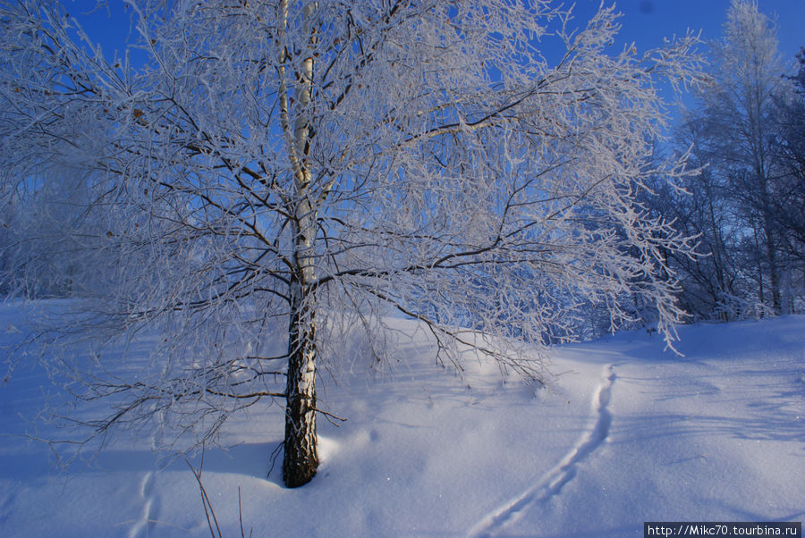 Клепиковский район,Мещера Тума, Россия