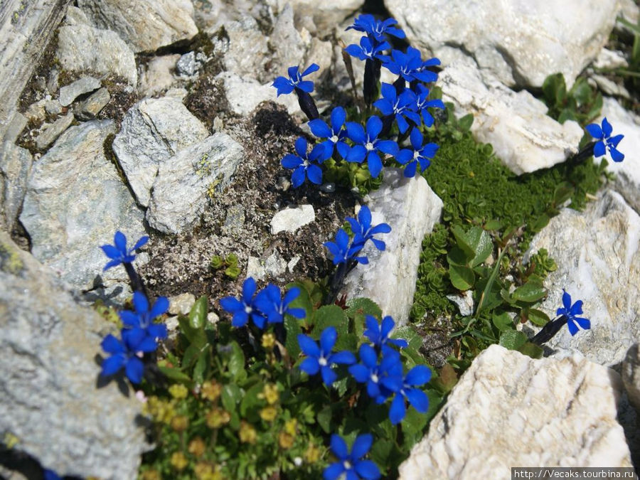 Пешком на Col des Roux (2804 м) Кантон Вале, Швейцария