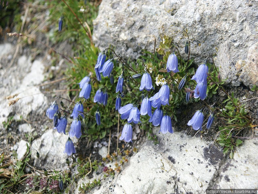 Пешком на Col des Roux (2804 м) Кантон Вале, Швейцария