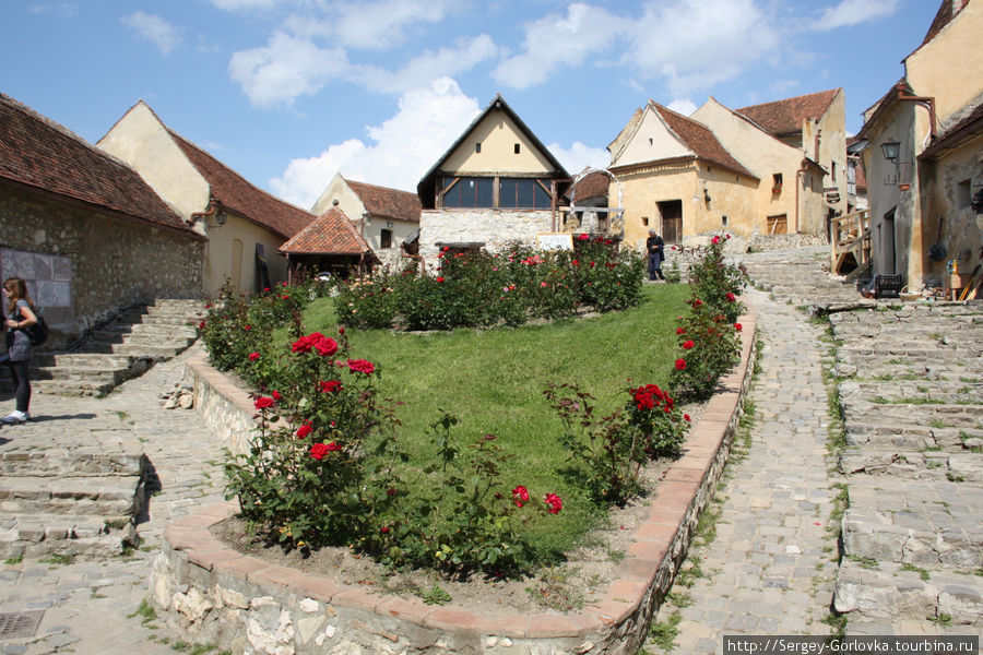Тевтонское наследство Рышнов, Румыния