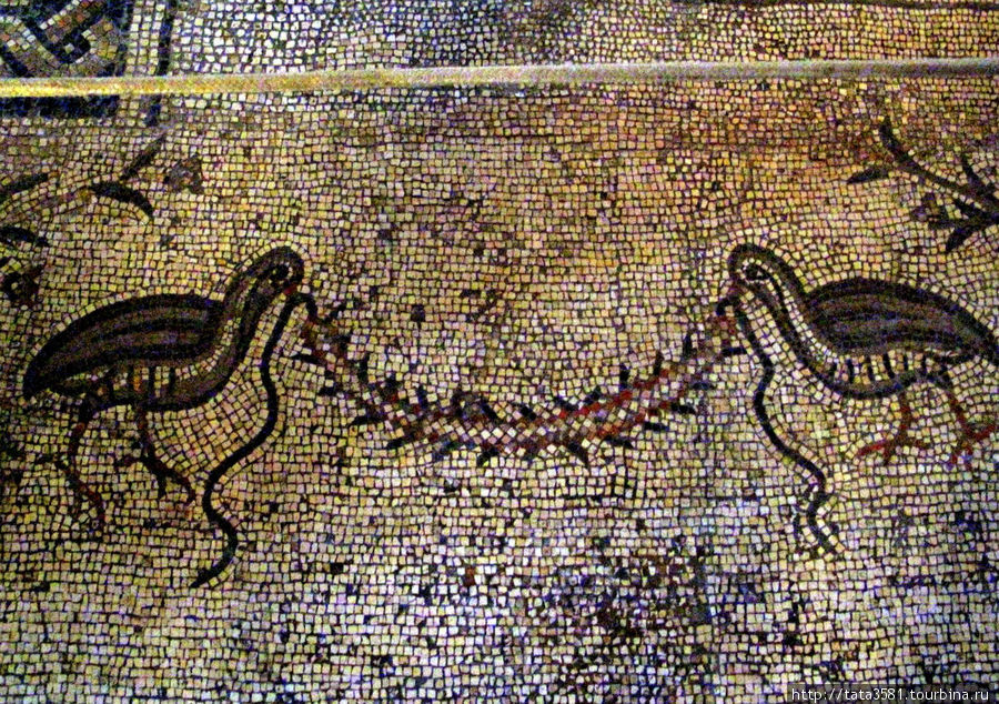 Древняя мозаика почти полностью сохранилась, и является главным украшением храма. Табха (Нагорная Проповедь), Израиль
