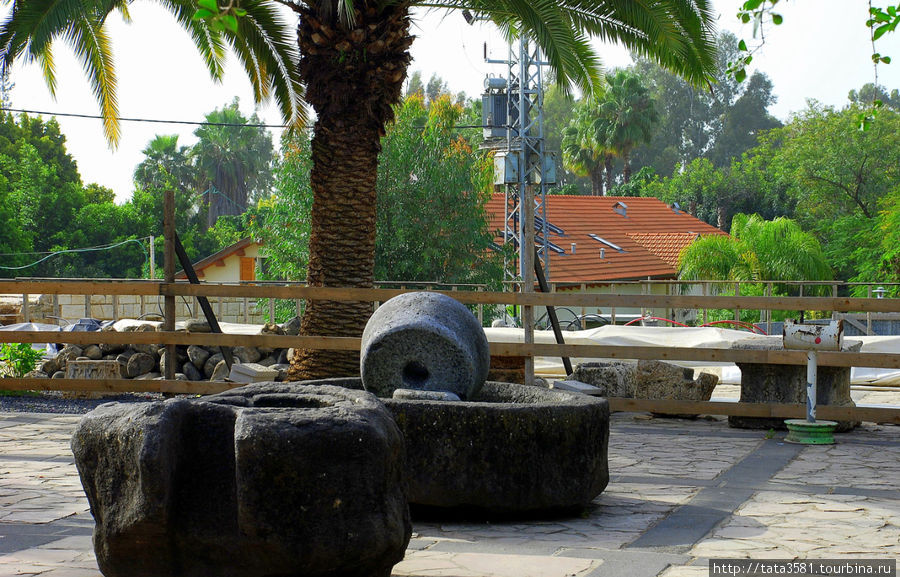 Табха — место умножения хлебов и рыб Табха (Нагорная Проповедь), Израиль