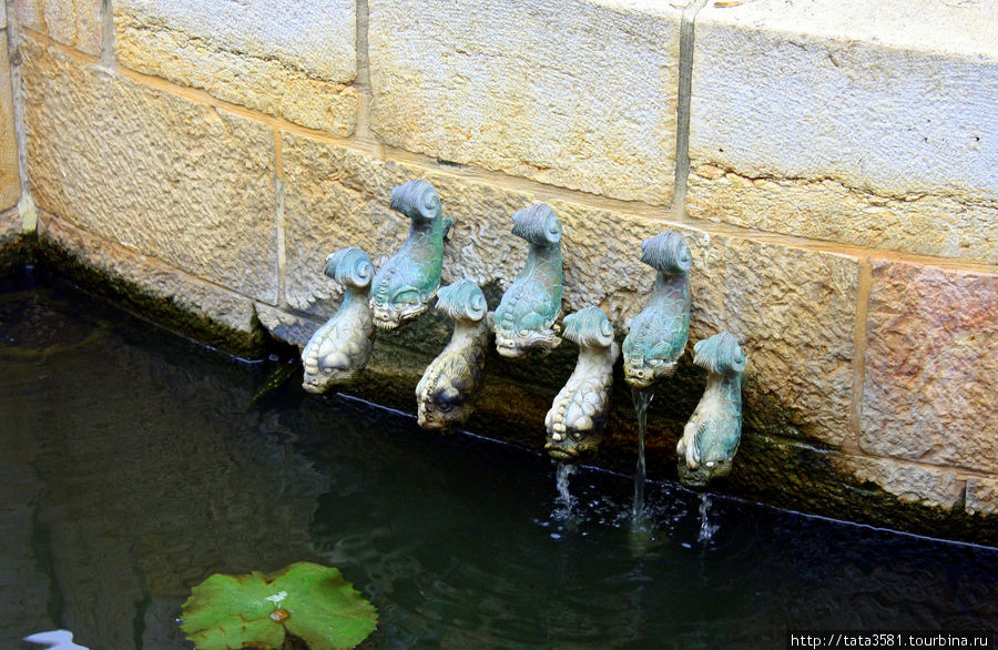 На территории церкви построен фонтан с семью кранами, в виде рыб (наверное по количеству источников в этом месте.) в котором в своё время плавают золотые рыбки Табха (Нагорная Проповедь), Израиль