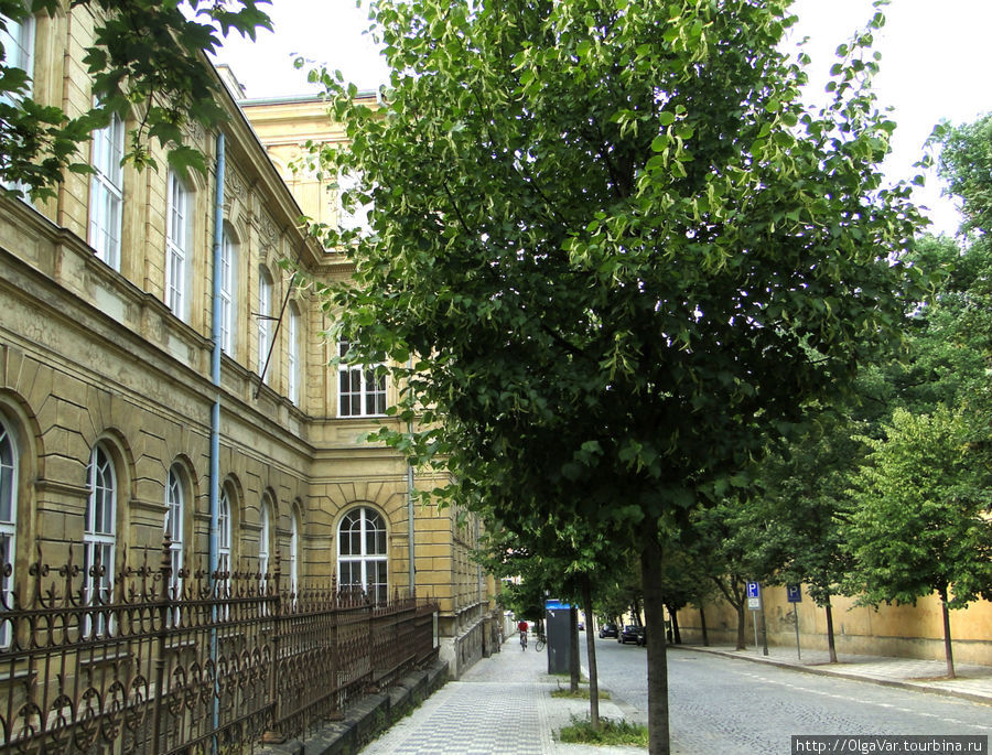 Если от здания природоведческого факультета Карлова университета  (на фото) завернуть за угол, можно сразу же попасть в ботанический сад, но есть и другой вход, официальный... Прага, Чехия