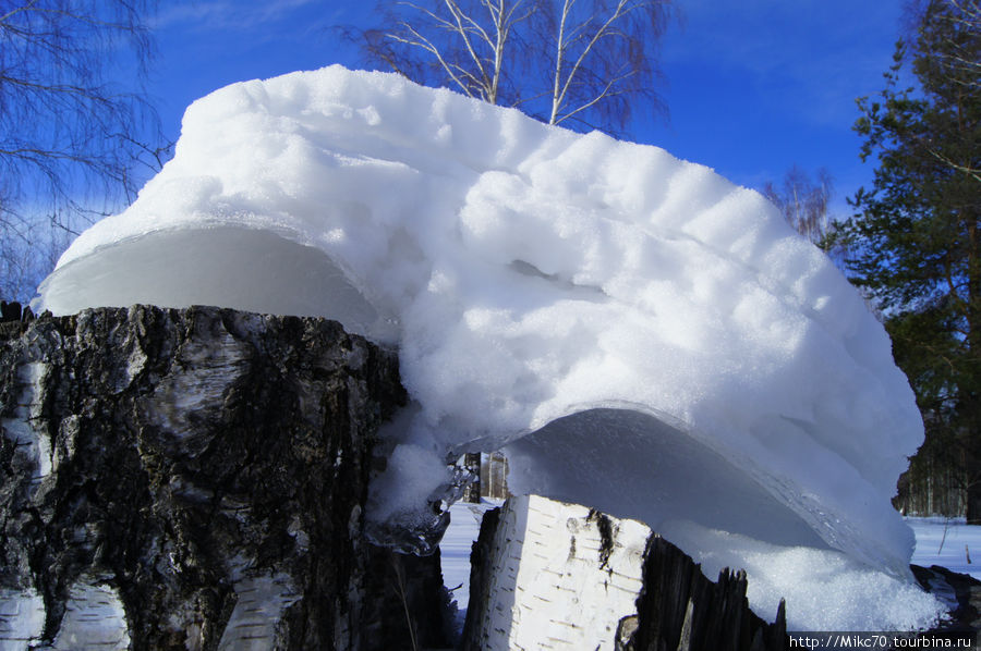 Клепиковский район,Мещера Тума, Россия