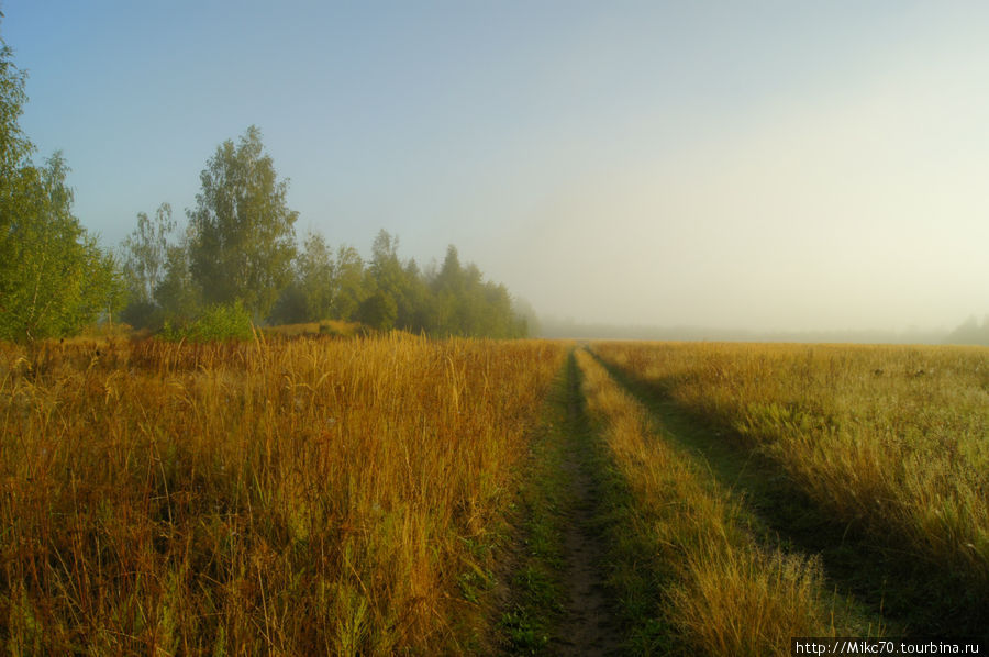 Клепиковский район,Мещера Тума, Россия