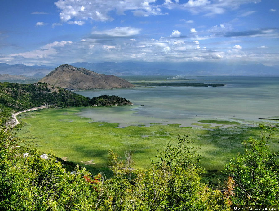 Скадарское озеро Вирпазар, Черногория
