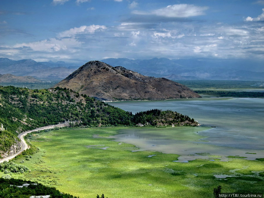 Вид на дельту реки Черновица и Скадарскоеозеро Вирпазар, Черногория