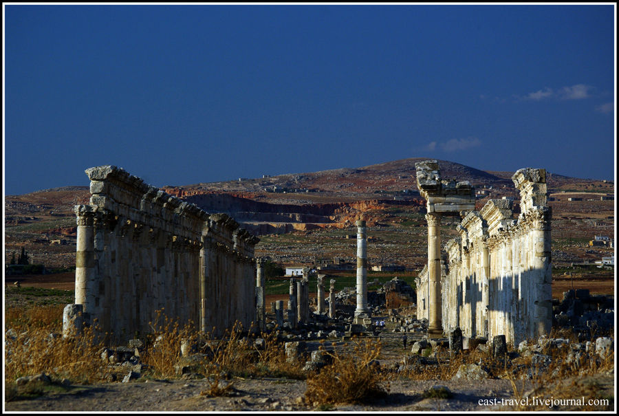 Апамея Сирия