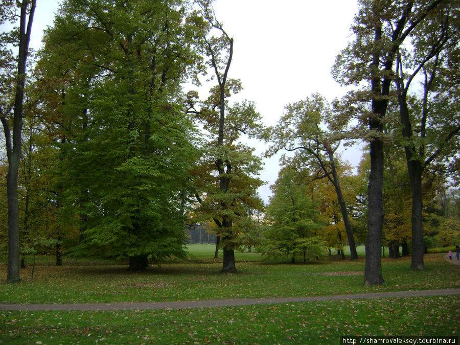 Парк Александрия Петергоф, Россия