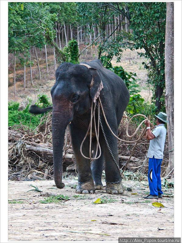 Остров Ланта, Таиланд, ноябрь 2008