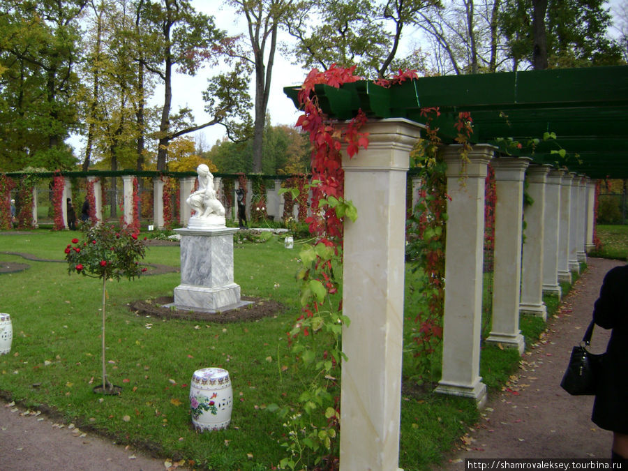 Собственный садик окружённый красивыми перголами Петергоф, Россия