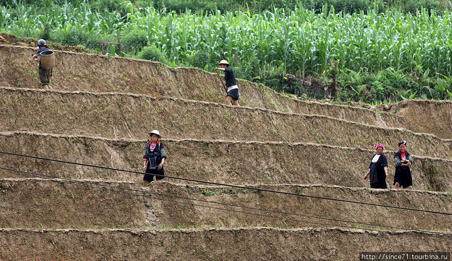 Сапа. Рисовые террасы. 2 Сапа, Вьетнам