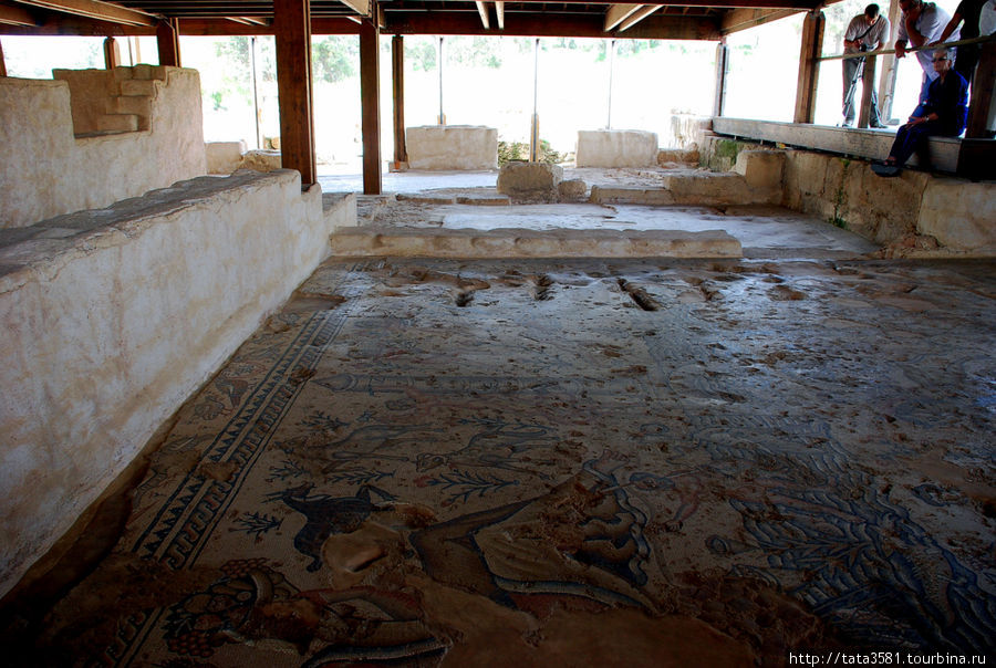 Древние мозаики в древней синагоге. Ципори, Израиль