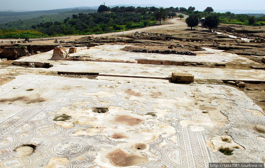 Ципори — древняя столица Галилеи. Античные мозаики. Ципори, Израиль