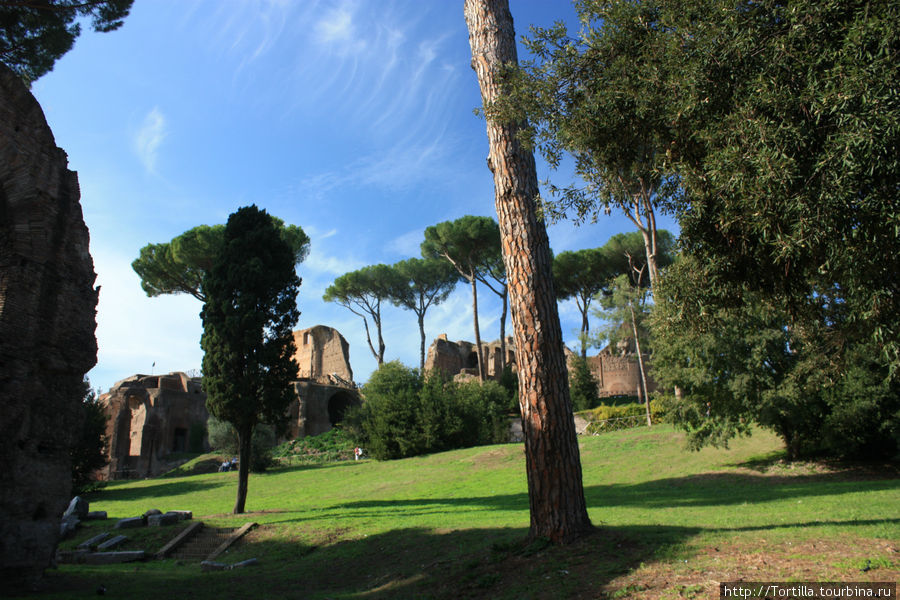 Руины холма Палатин и Форумы Рим, Италия