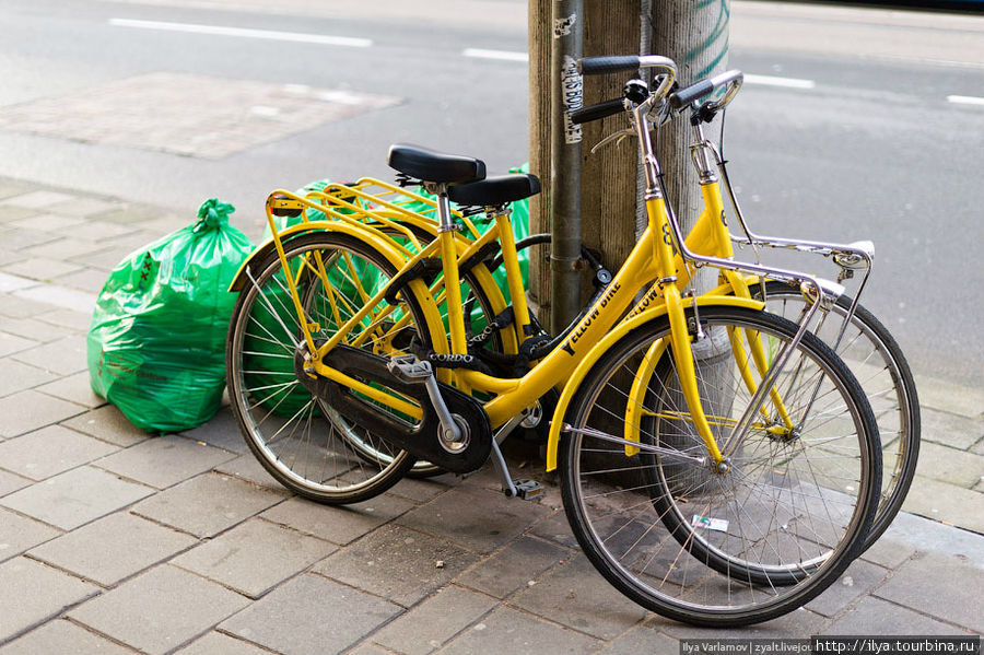Прокат велосипедов обойдется в среднем около 10 евро в день. Амстердам, Нидерланды