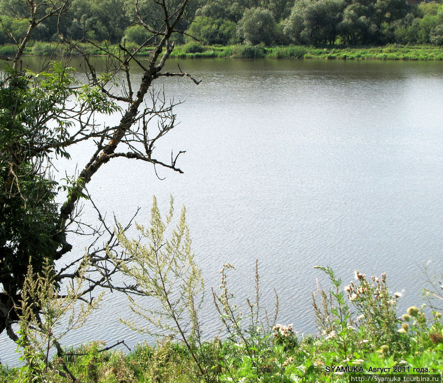 Река Свирж в разливе. Украина