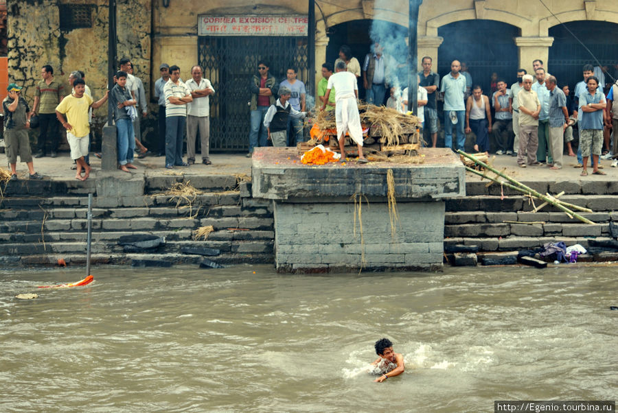 обратите внимание на мальчугана, купающегося тут же Катманду, Непал