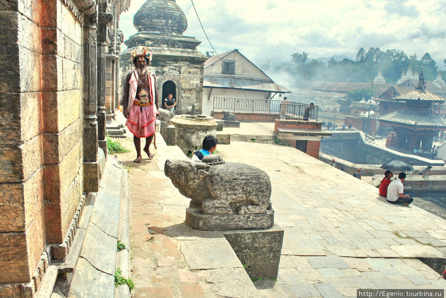 тут же живут и бродят саддху Катманду, Непал
