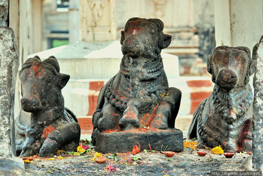 на территории храма Вирупакши Хампи, Индия