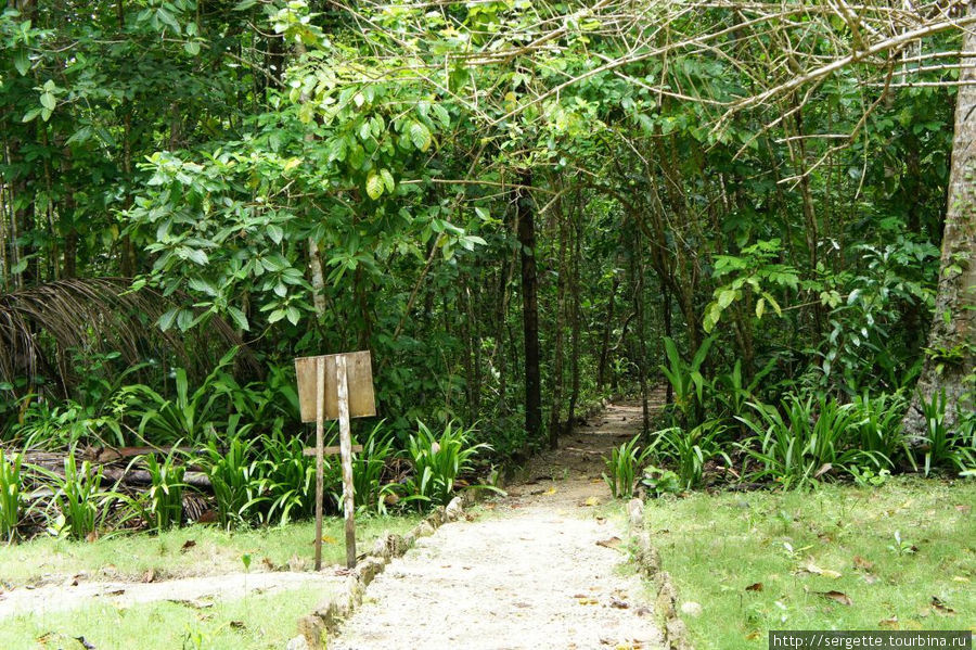 Отсюда начинается тропа через дождевой лес или по нашему джунгли Остров Палаван, Филиппины