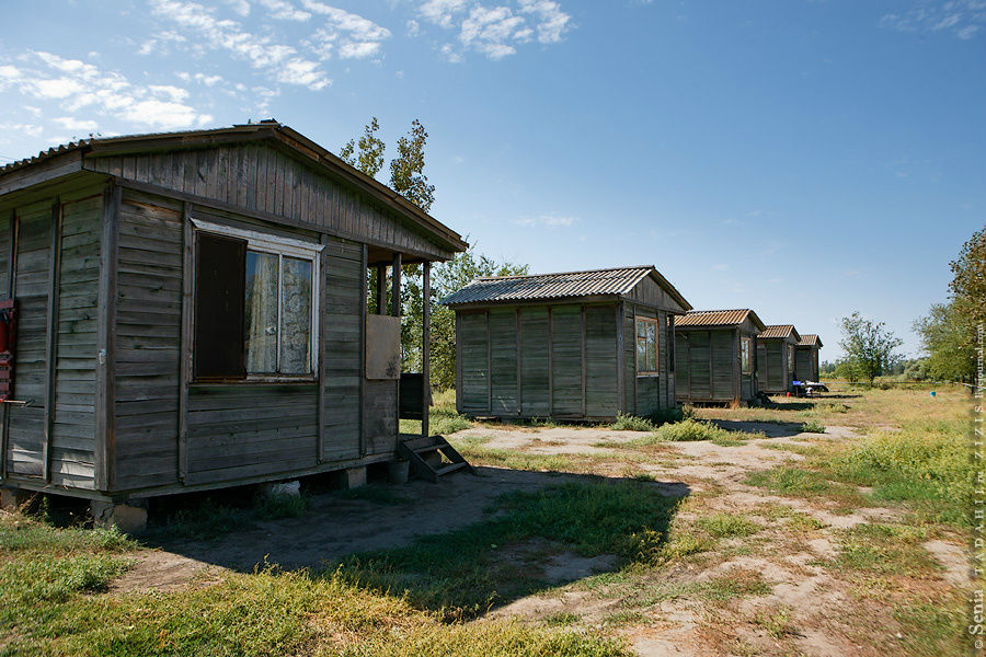 Осетровые породы в Икрянинском районе. БИОС, мальки Икряное, Россия