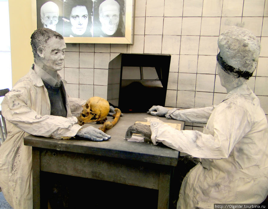 Кстати, эту область исследований для криминалистики открыл наш ученый Михаил Герасимов, автор метода восстановления внешнего облика человека по скелетным останкам. Именно он воссоздал облик Ивана Грозного по его черепу Прага, Чехия