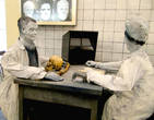 Кстати, эту область исследований для криминалистики открыл наш ученый Михаил Герасимов, автор метода восстановления внешнего облика человека по скелетным останкам. Именно он воссоздал облик Ивана Грозного по его черепу