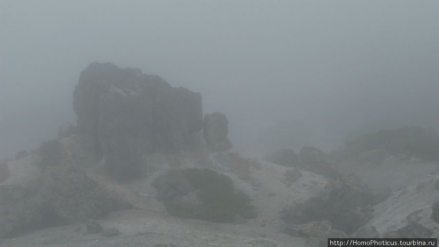 лавовые поля в тумане Остров Кунашир, Россия
