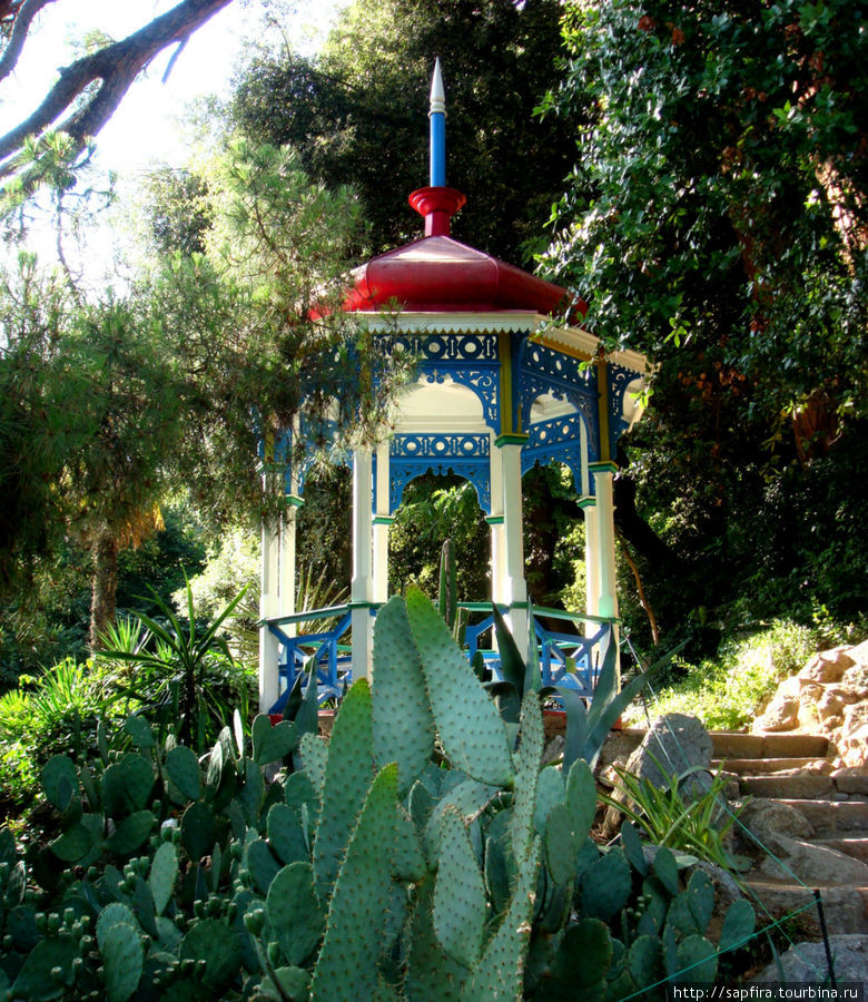 Один из старейших ботанических садов.Август 2011.