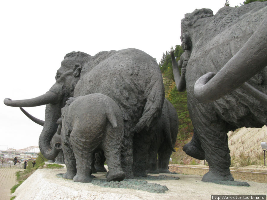 Это фигуры мамонтов, вроде бы в натуральную величину Ханты-Мансийск, Россия