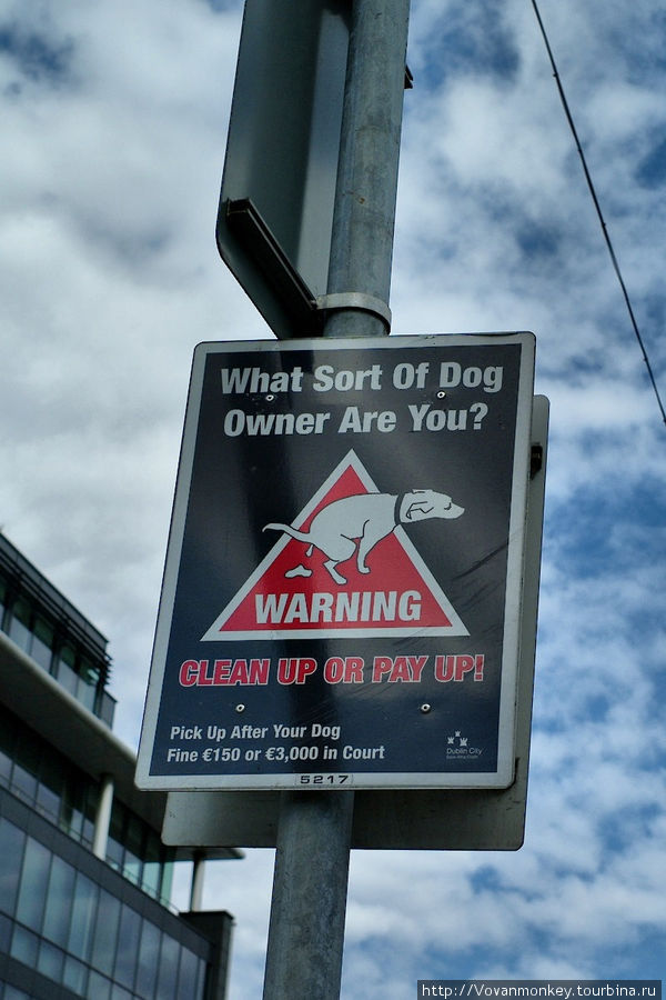 И напоследок: борьба за чистоту улиц. Каким видом собаковладельца ты являешься? :)) Дублин, Ирландия