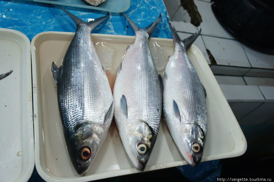 Бангус. Пожалуй самая знаменитая рыба на Филах. Чуть ли не государственный символ Пуэрто-Принсеса, остров Палаван, Филиппины