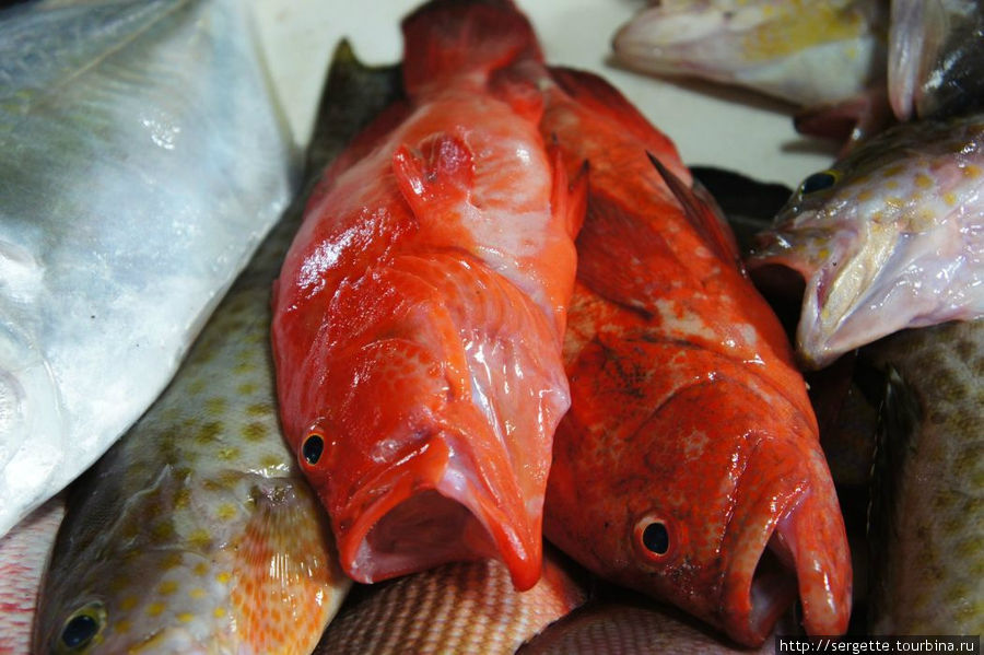 Рыбный день Пуэрто-Принсеса, остров Палаван, Филиппины