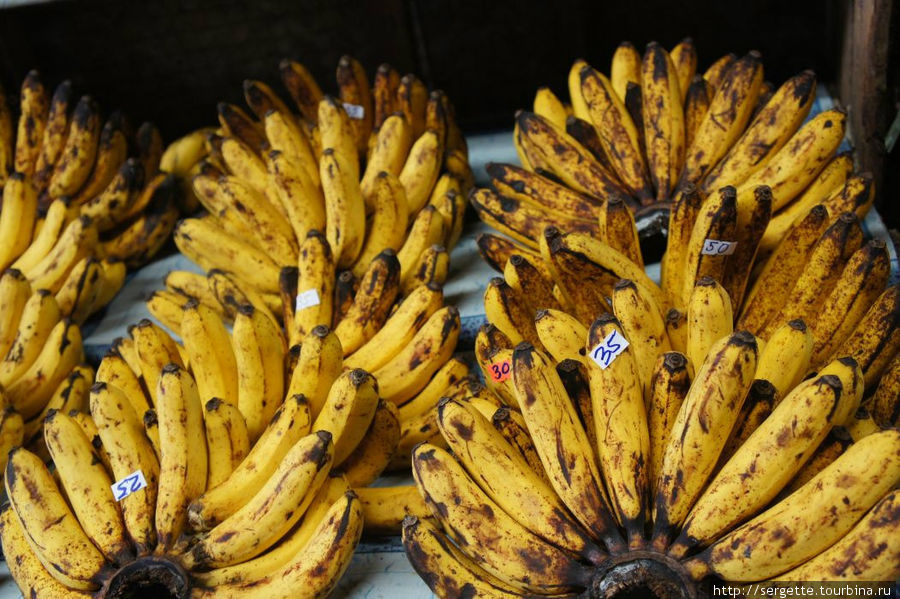 Бананы здесь дешевле хлеба. Пуэрто-Принсеса, остров Палаван, Филиппины