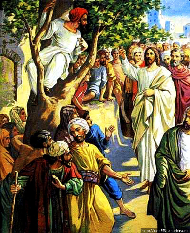 Согласно Библии, когда Христос направлялся в Иерихон, где жил Закхей, то последний, желая хоть издали увидеть Мессию, влез на смоковницу, так как был малого роста. Иерихон, Палестина