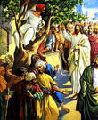 Согласно Библии, когда Христос направлялся в Иерихон, где жил Закхей, то последний, желая хоть издали увидеть Мессию, влез на смоковницу, так как был малого роста.