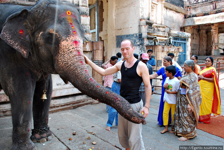 к этому слону тянулась вереница получить у него благословение Хампи, Индия