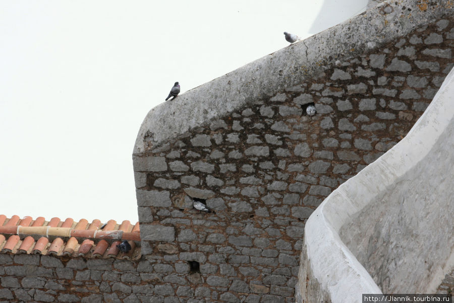 Голуби в лабиринте состоящем из крыш домов,заборов,перегородок и т.д. Идра, остров Идра, Греция