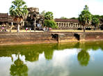 В отличие от других храмовых сооружений, заросших джунглями, когда их нашли, Ангкор-Ват был восстановлен кхмерской королевской семьей в качестве буддийской святыни еще  в 16 веке