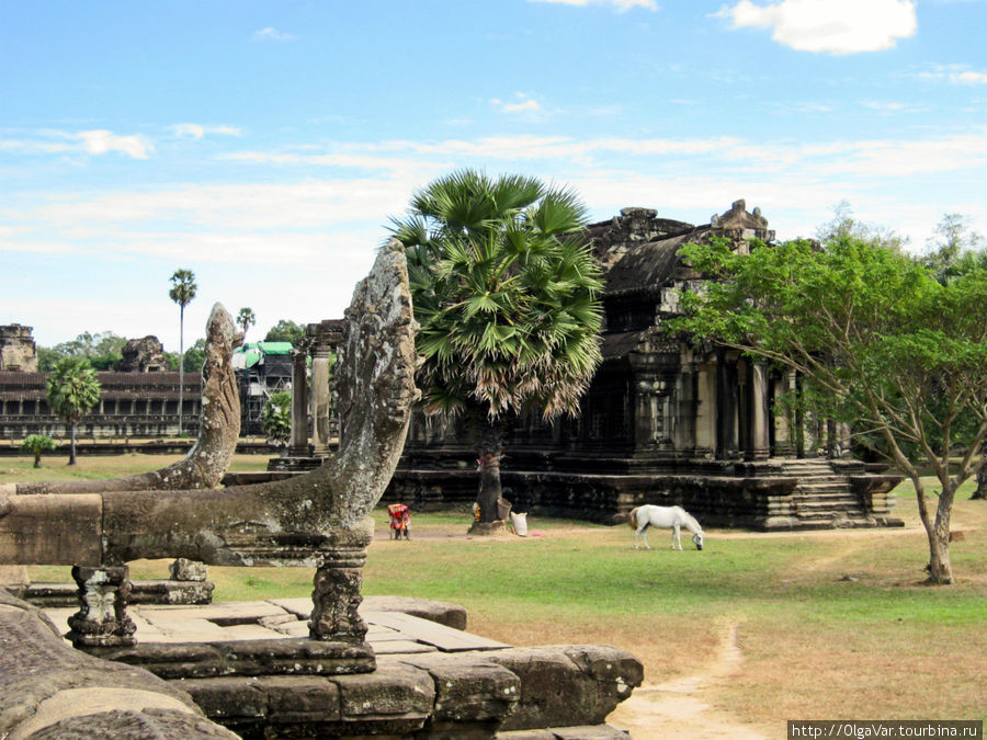 На пути к храму видим сохранившееся здание библиотеки Ангкор-Вата Ангкор (столица государства кхмеров), Камбоджа