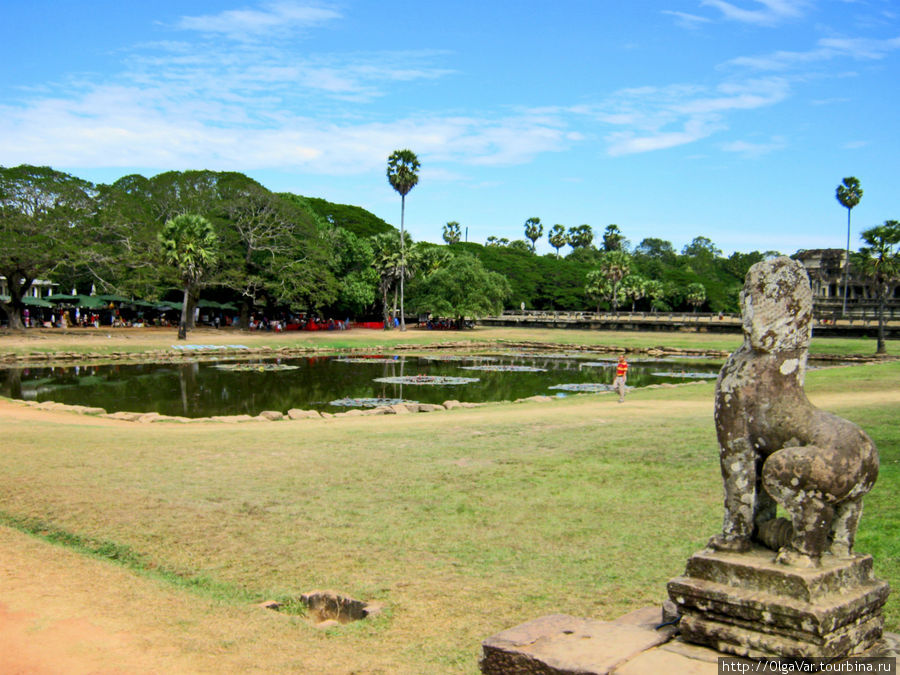 По дороге к храму встречаются небольшие прудики, у которых пасутся кони Ангкор (столица государства кхмеров), Камбоджа