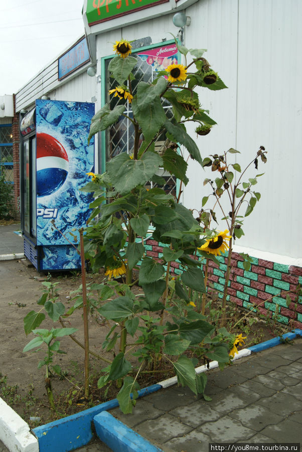 Осенние прогулки по Н.Новгороду - Седьмое небо Нижний Новгород, Россия