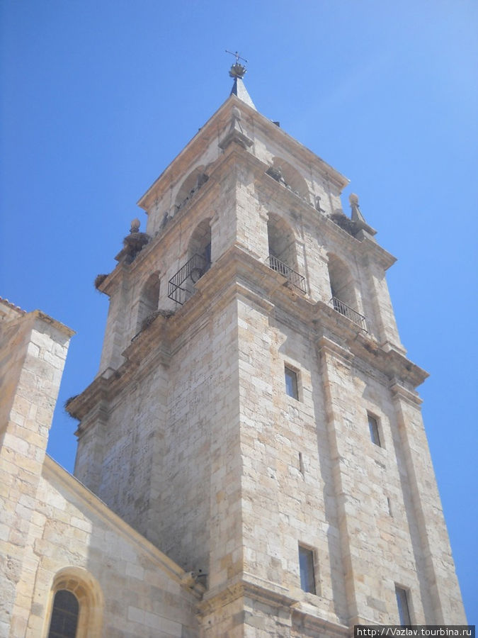 Башня собора Алькала-де-Энарес, Испания