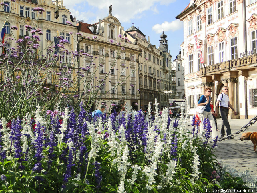 Площадь замерла, очарованная колдовским мотивом… Прага, Чехия