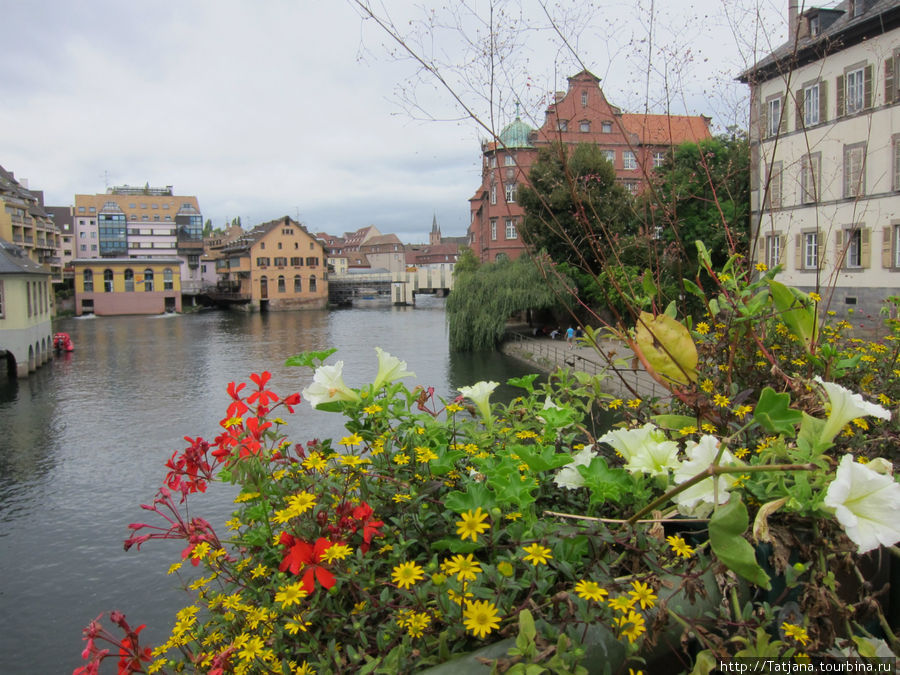 Цветы всюду! Страсбург, Франция