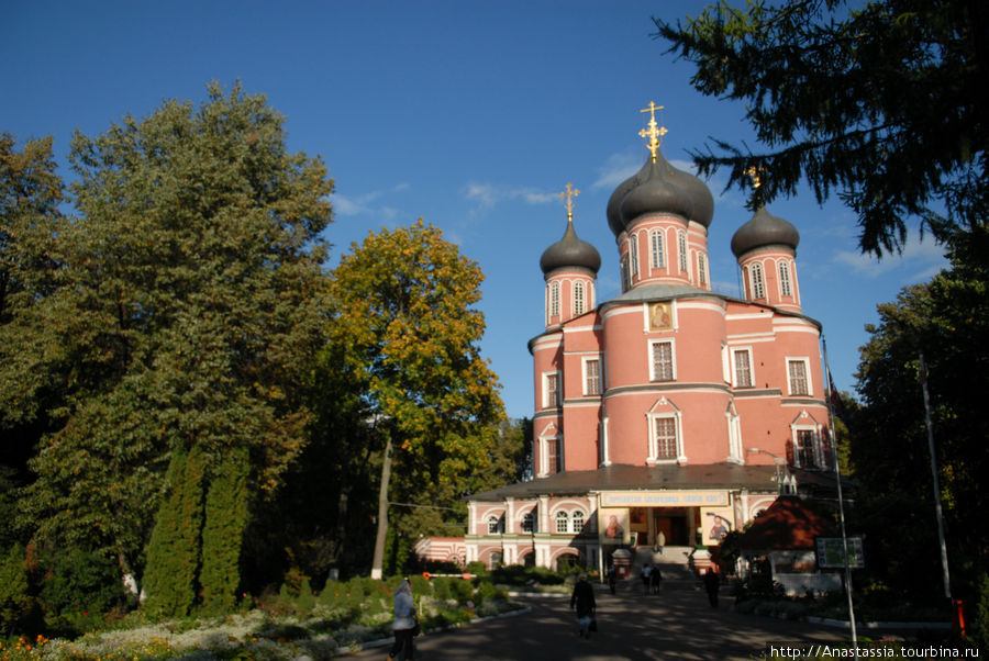 Донской монастырь Москва, Россия