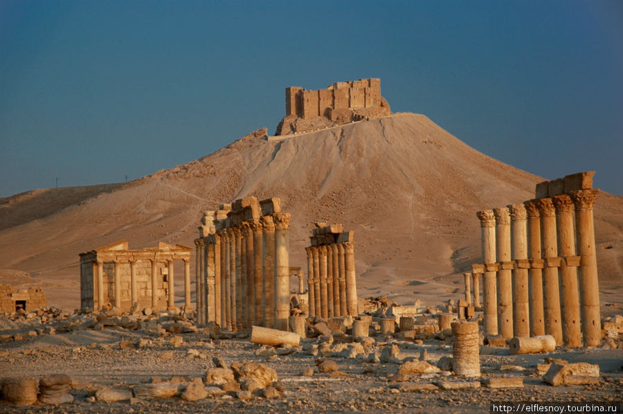 Пальмира. Южная. Тадмур (Пальмира), Сирия